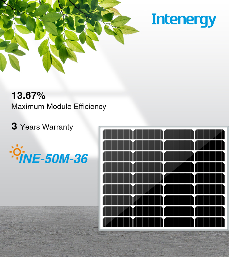 INE-50M-36_01