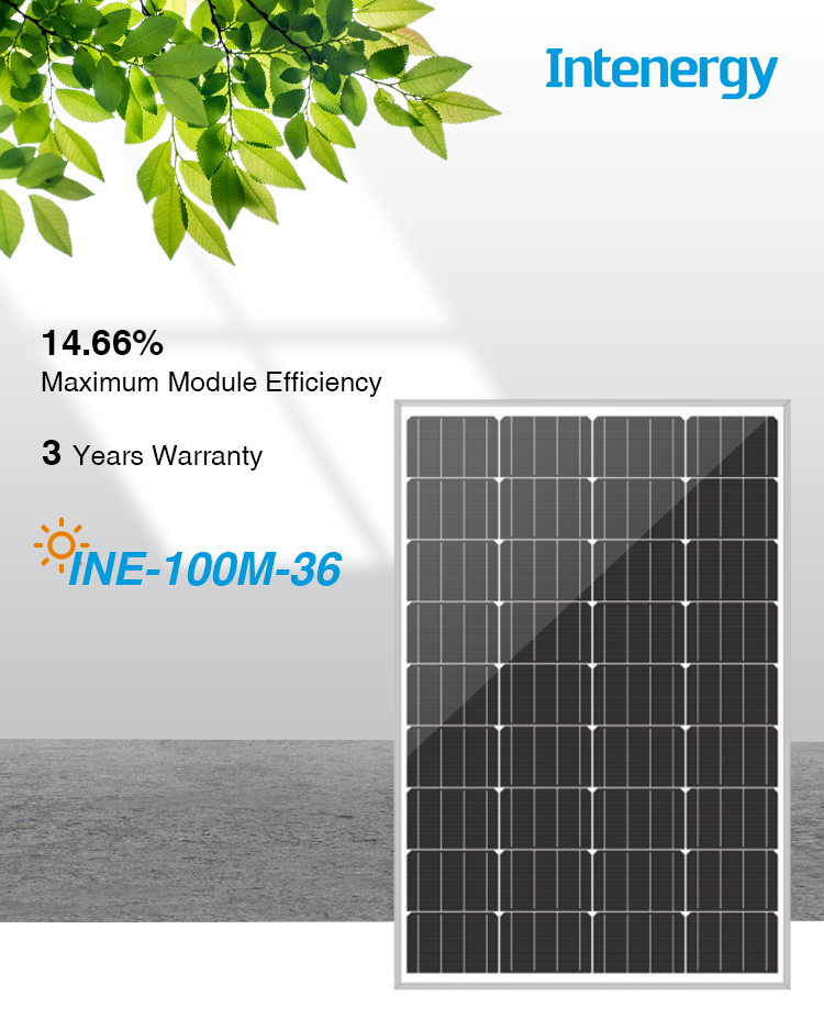 INE-100M-36_01